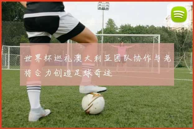 世界杯巡礼澳大利亚团队协作与老将合力创造足球奇迹